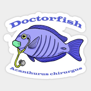 Doctorfish Sticker